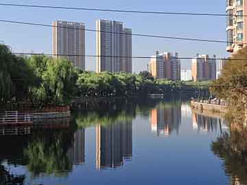 揭秘劉伯溫一肖一內(nèi)碼期期準(zhǔn)的秘密，劉伯溫一肖一內(nèi)碼期期準(zhǔn)的秘密揭秘