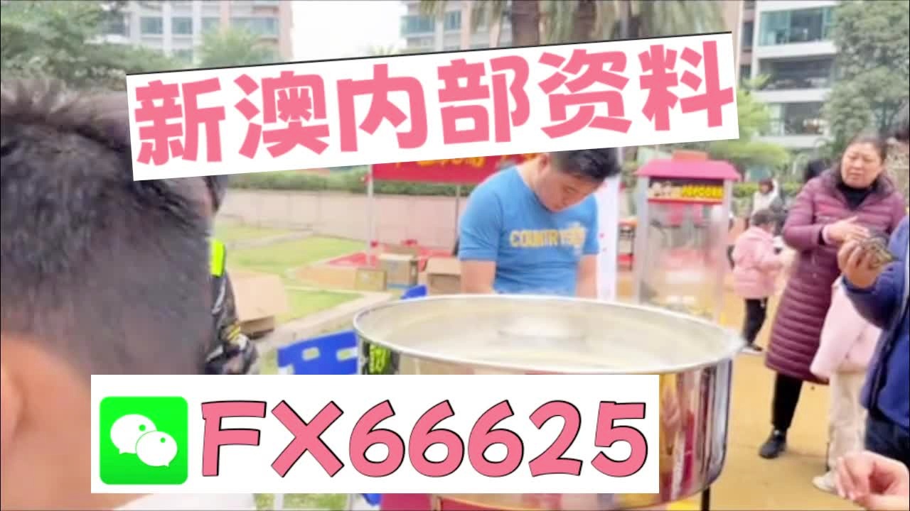 新奧2025正版資料大全，全面解析與深度探索，新奧2025正版資料大全，全面解析與深度探索揭秘