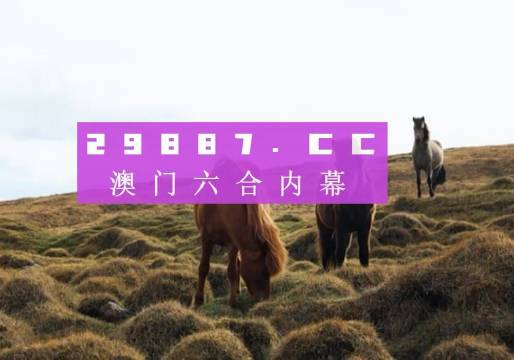 今晚澳門9點35分的彩票開獎，期待與驚喜交織的時刻，澳門今晚9點35分彩票開獎，期待與驚喜交匯的時刻