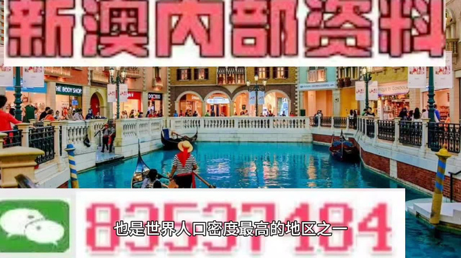 澳門王中王正版游戲，探索未來的新篇章（2025年展望），澳門王中王正版游戲，探索未來新篇章，展望2025年發(fā)展