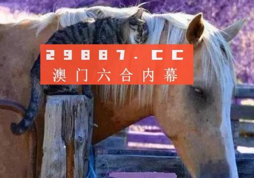 澳門一肖一碼一待一中四不像，探索與解析，澳門一肖一碼一待一中四不像，深度解析與探索