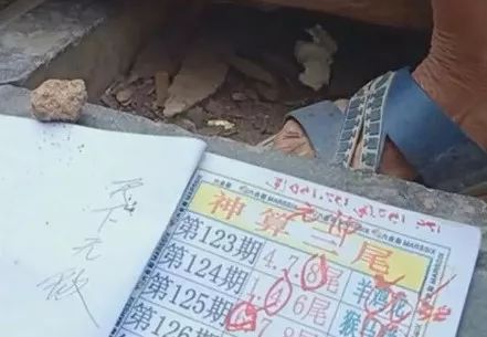 香港中特期期準(zhǔn)資料，深度解析與探索，香港中特期期準(zhǔn)資料深度解析與探索報告