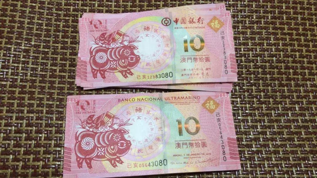新澳門生肖走勢圖，深度解析與預(yù)測，澳門生肖走勢圖深度解析及預(yù)測報告