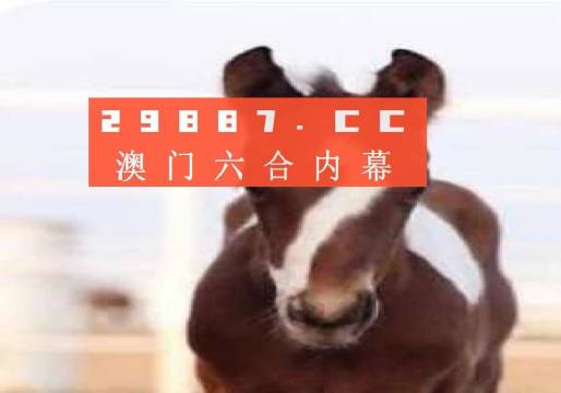 澳門一肖一碼一待一中資料，深度解析與探索，澳門一肖一碼深度解析與探索揭秘資料