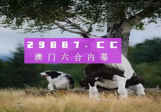 澳門天天空彩官網(wǎng)資料，探索彩票世界的門戶，澳門天天空彩官網(wǎng)資料，彩票世界探索門戶