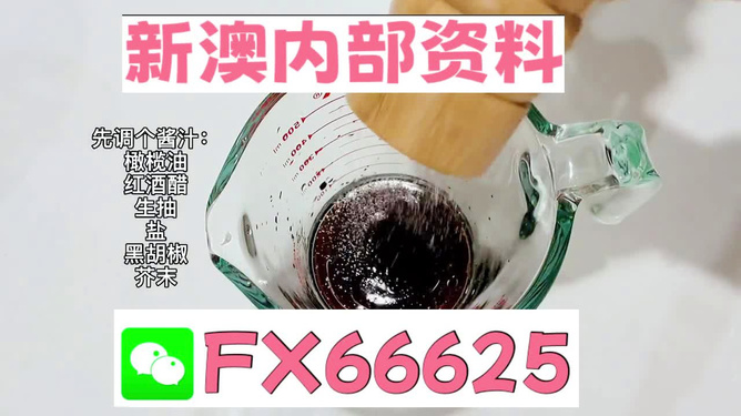 2025年新澳正版免費料，全面解析與獨家資訊，獨家解析，揭秘新澳正版免費料獨家資訊至2025年