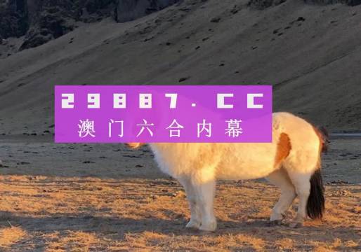 澳門天天彩資料正版免費特色快8，探索彩票世界的魅力與機遇，澳門天天彩正版特色快8，彩票世界的魅力與機遇探索