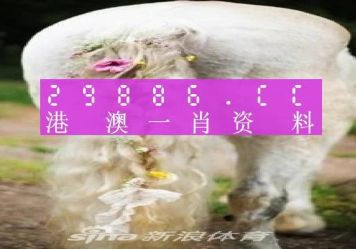 澳門羊了個(gè)羊與各大圖庫的資料揭秘，2023年澳門今晚必中一肖一碼永久免費(fèi)資料庫大解密，澳門羊了個(gè)羊與資料庫揭秘，2023年必中一肖一碼永久免費(fèi)資料大解密
