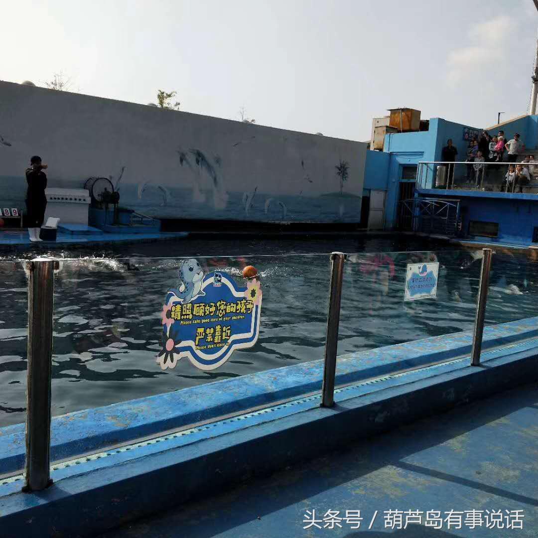 揭秘9點30分彩新澳，全方位解讀彩票新玩法，揭秘9點30分彩新澳，全方位解讀彩票新玩法攻略