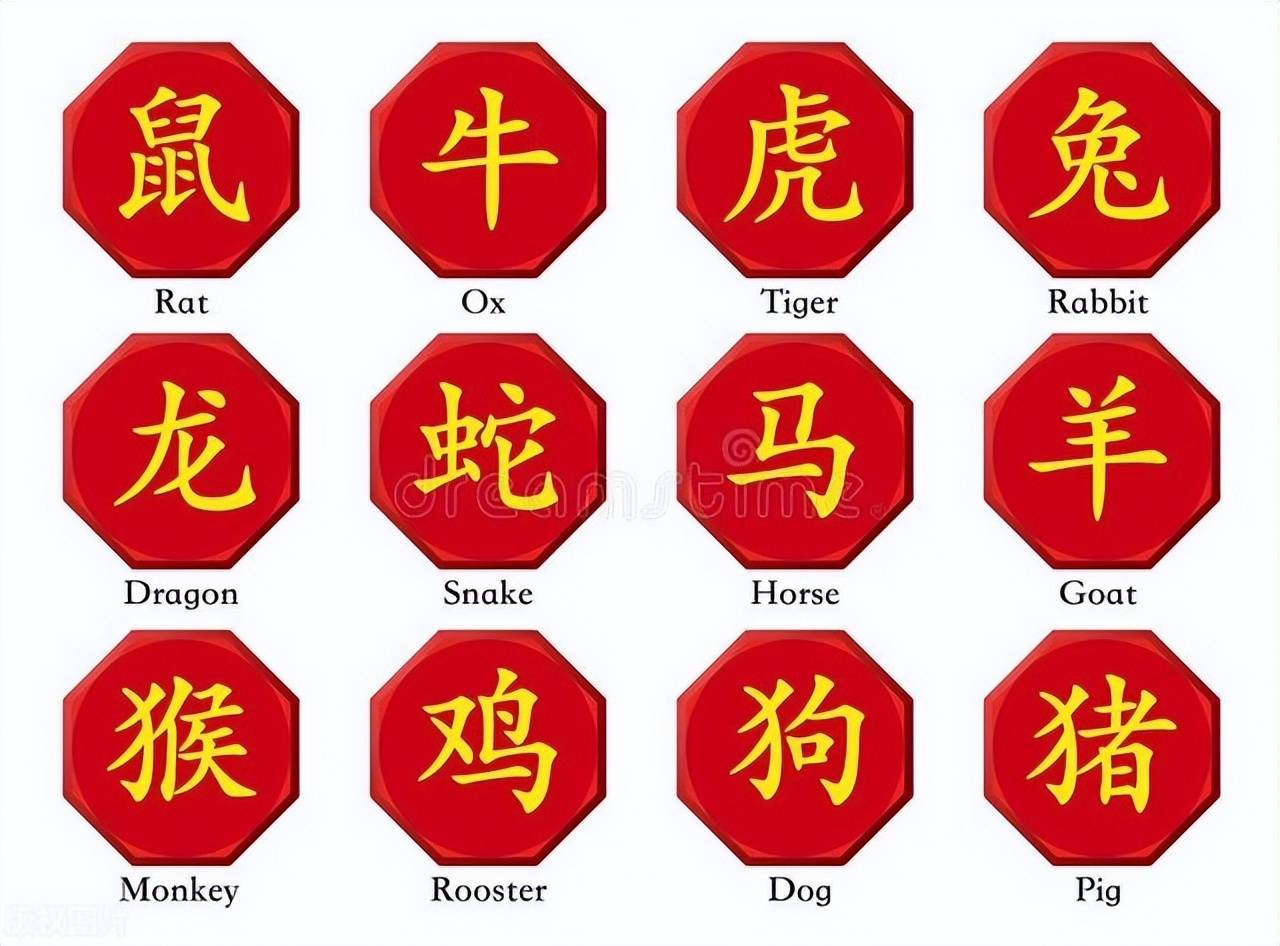 新澳特碼，羊?；⒏鲾?shù)10——揭秘背后的數(shù)字奧秘，揭秘新澳特碼數(shù)字奧秘，羊?；⒏鲾?shù)背后的秘密