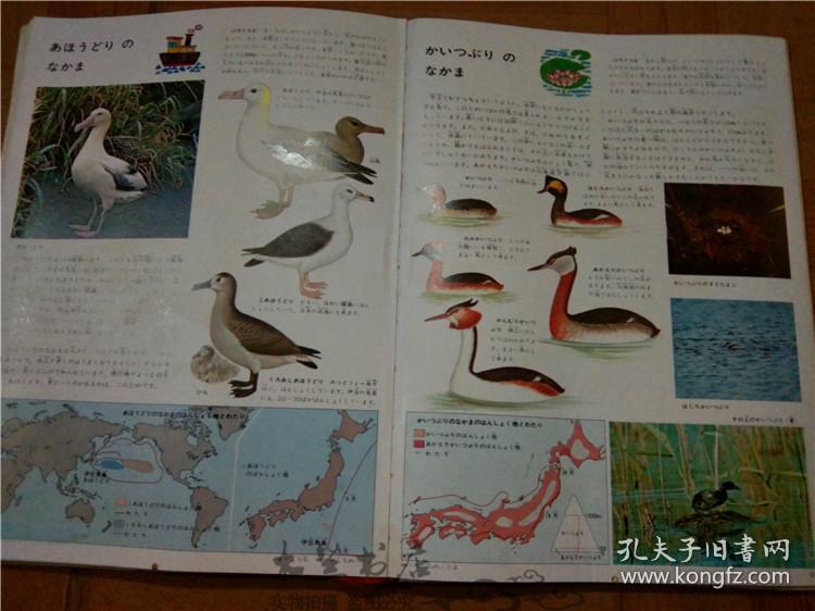 今日正版跑狗圖分享，探索7777788888跑狗圖的魅力，今日正版跑狗圖分享，探索魅力十足的777778跑狗圖