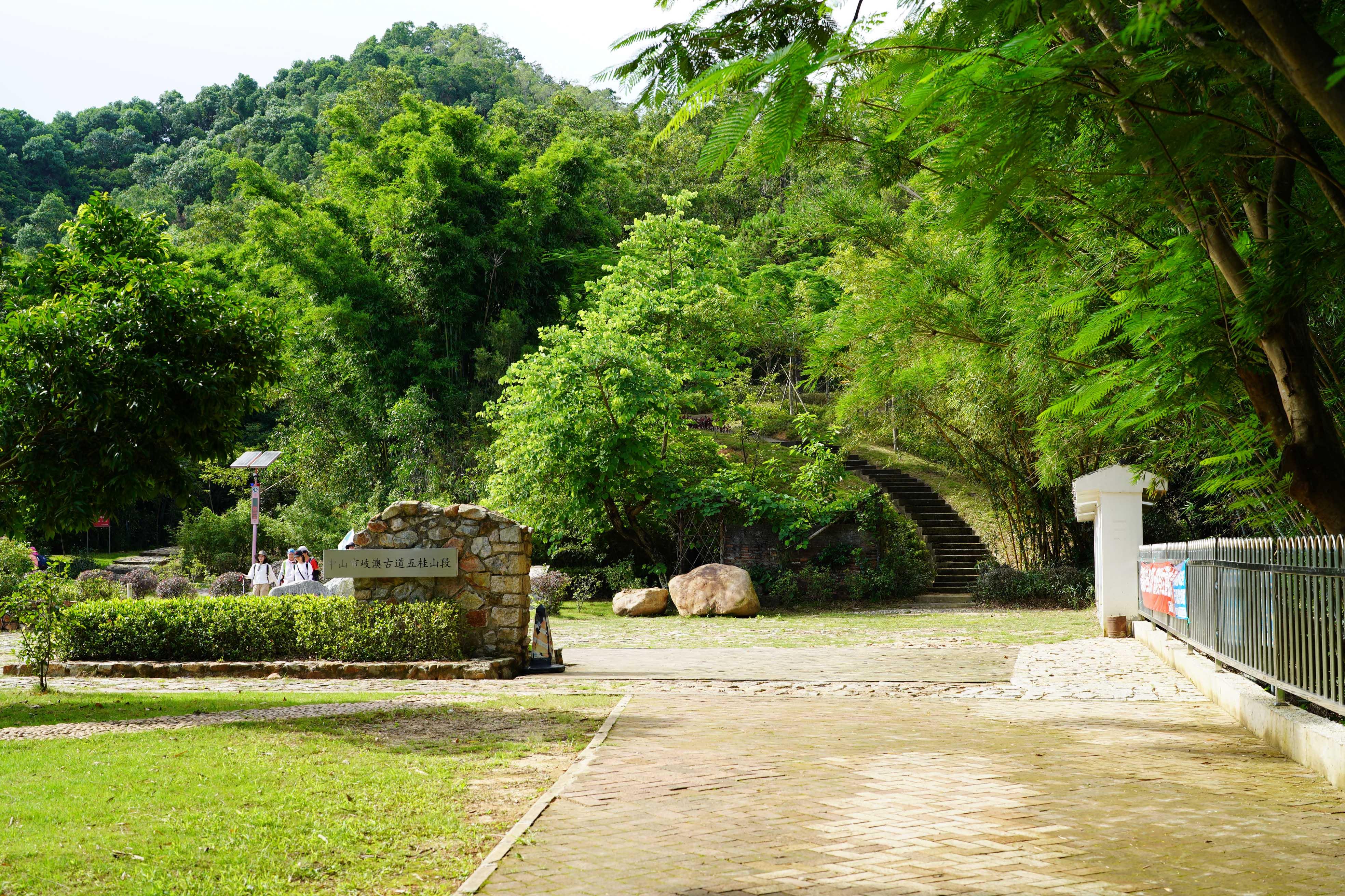 新澳門彩生肖走勢圖，探索與解讀彩票背后的秘密，探索解讀新澳門彩生肖走勢圖，彩票背后的秘密揭秘