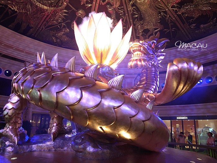 澳門無錯(cuò)七尾，探索與解析，澳門無錯(cuò)七尾，深度探索與解析