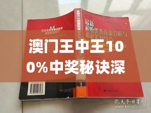 新澳門王中王期期中，探索與解析，新澳門王中王期期中，深度探索與解析