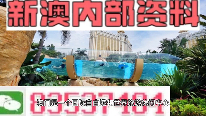 新澳的資料去哪里找——全面指南，新澳資料全攻略，尋找資料的途徑與指南
