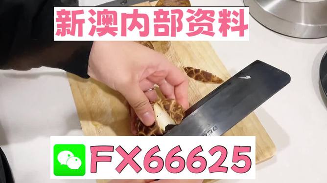 澳門九點(diǎn)半9點(diǎn)半網(wǎng)站——探索其魅力與優(yōu)勢(shì)，澳門九點(diǎn)半網(wǎng)站，魅力與優(yōu)勢(shì)探索