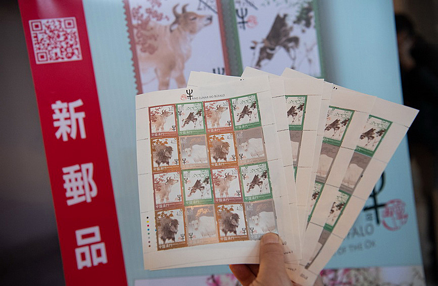 澳門值日生肖600圖庫(kù)與八百圖庫(kù)開獎(jiǎng)，探索生肖圖庫(kù)的魅力與奧秘，澳門生肖圖庫(kù)開獎(jiǎng)揭秘，探索值日生肖600圖庫(kù)與八百圖庫(kù)的魅力與奧秘
