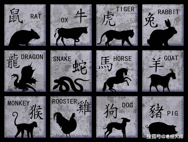 新澳特碼，羊?；⒏鲾?shù)10的獨(dú)特魅力與解析，新澳特碼，羊牛虎各數(shù)10的獨(dú)特魅力深度解析
