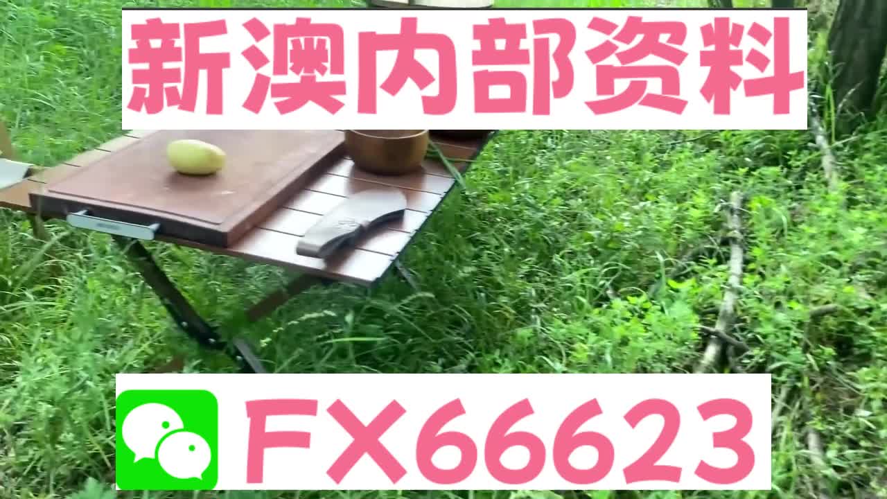 新奧特碼走勢圖解析與預(yù)測，新奧特碼走勢圖解析與預(yù)測，未來趨勢探討