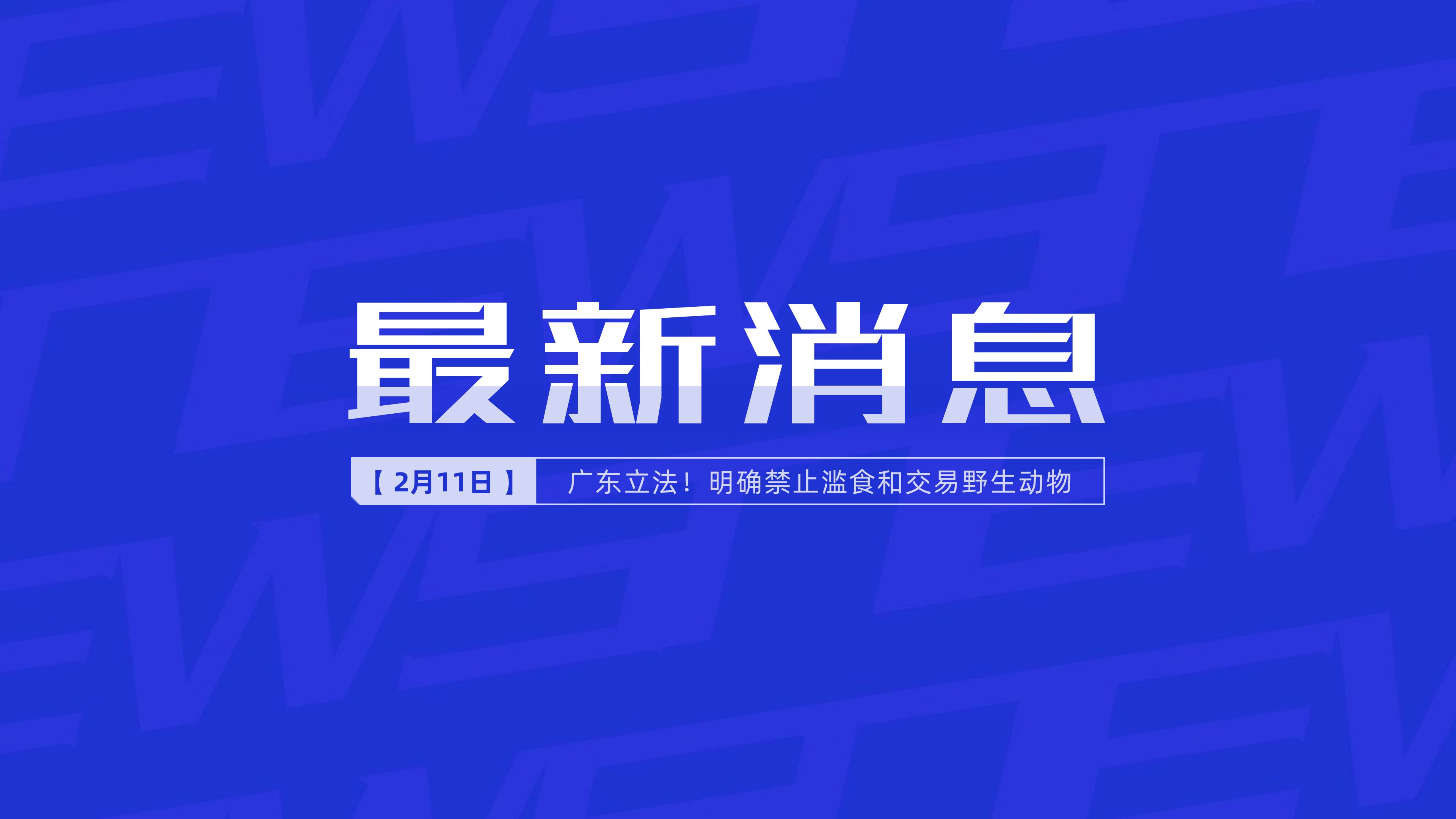 新聞最新新聞，掌握時(shí)事熱點(diǎn)，洞悉世界動(dòng)態(tài)，時(shí)事熱點(diǎn)速遞，掌握全球最新動(dòng)態(tài)新聞