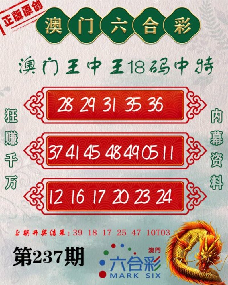 新澳門王中王期期中，探索與解析，新澳門王中王期期中，深度探索與解析