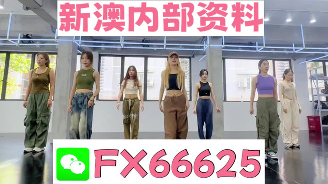 新澳持碼會(huì)資料詳解，新澳持碼會(huì)資料全面解析