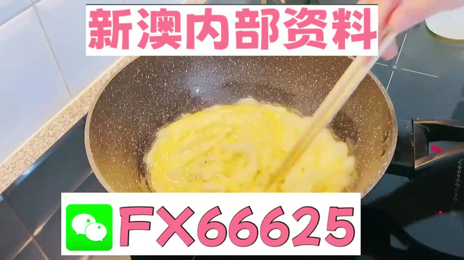 澳門九點(diǎn)半9點(diǎn)半網(wǎng)站——探索與體驗(yàn)，澳門九點(diǎn)半網(wǎng)站，探索與體驗(yàn)之旅
