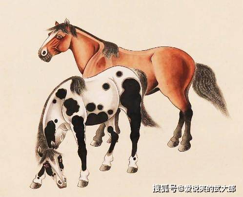 香港四不像一肖生肖圖，揭秘背后的神秘文化，香港四不像一肖生肖圖，神秘文化背后的揭秘