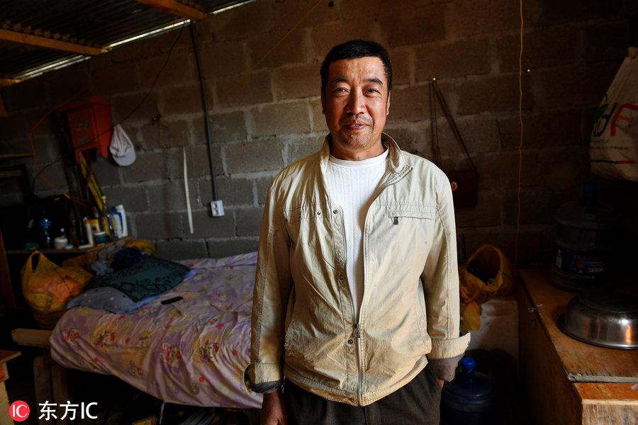 博科圣地組織，深度解析與理解，博科圣地組織深度解析與探究
