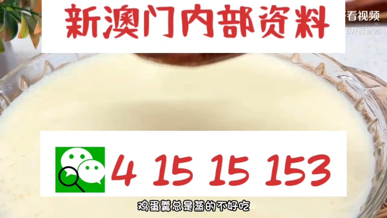 新澳門中特網(wǎng)中特馬，探索與解析，澳門中特馬探索與解析指南