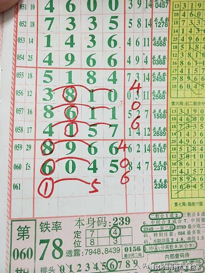 平特肖推算法，探索搜索引擎優(yōu)化的新境界，平特肖推算法，開啟搜索引擎優(yōu)化新境界的探索之旅