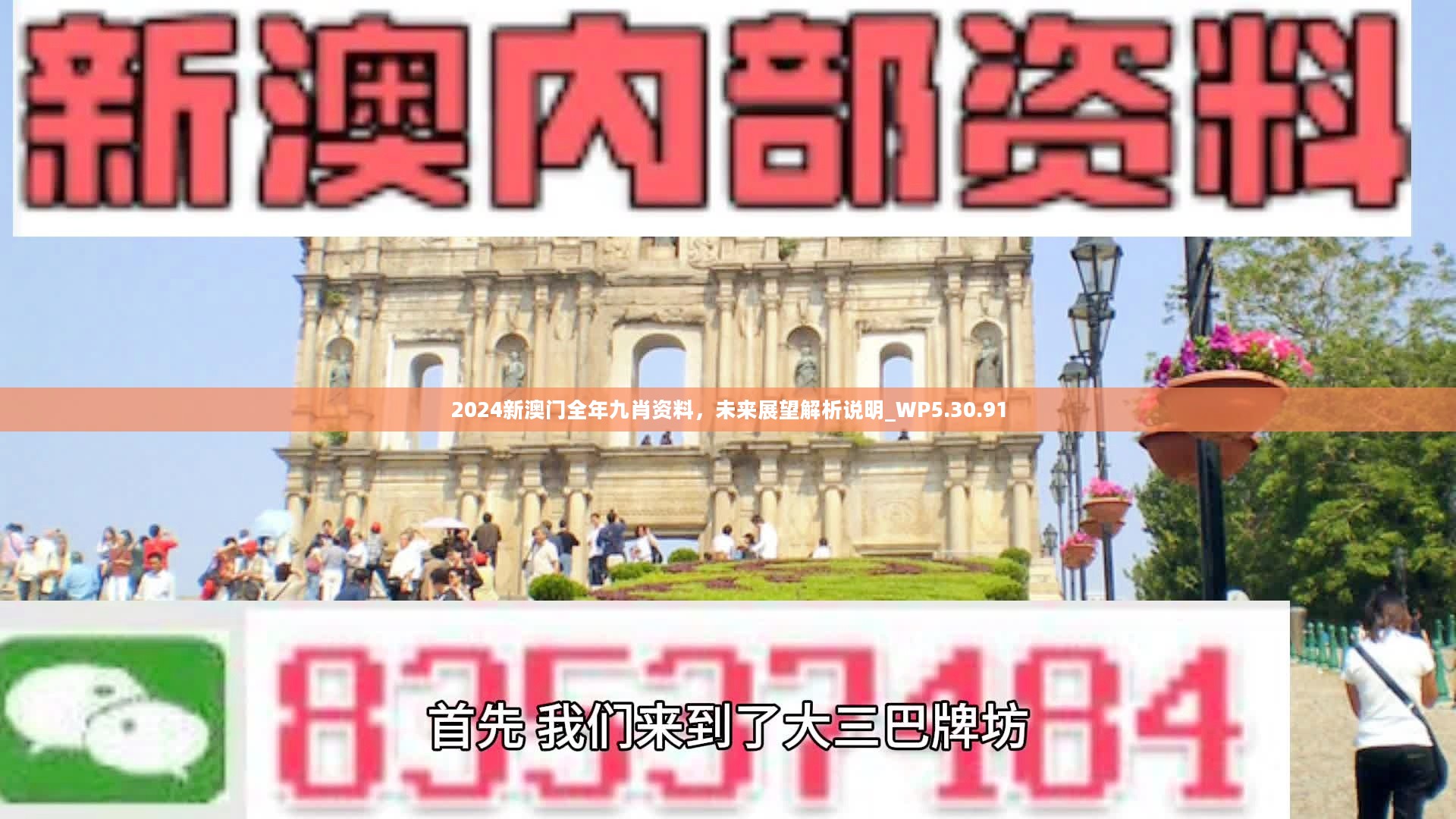 新澳門精準九肖，揭秘預(yù)測技巧與策略，揭秘新澳門精準九肖預(yù)測技巧與策略