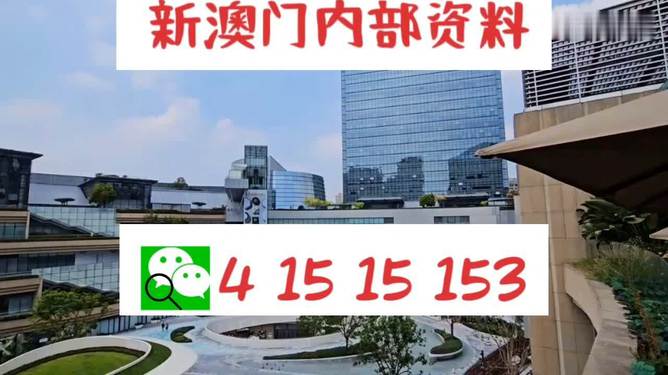 新澳門單雙，探索數(shù)字世界的奧秘與魅力，澳門數(shù)字世界的奧秘與魅力探索，單雙數(shù)的奇幻之旅