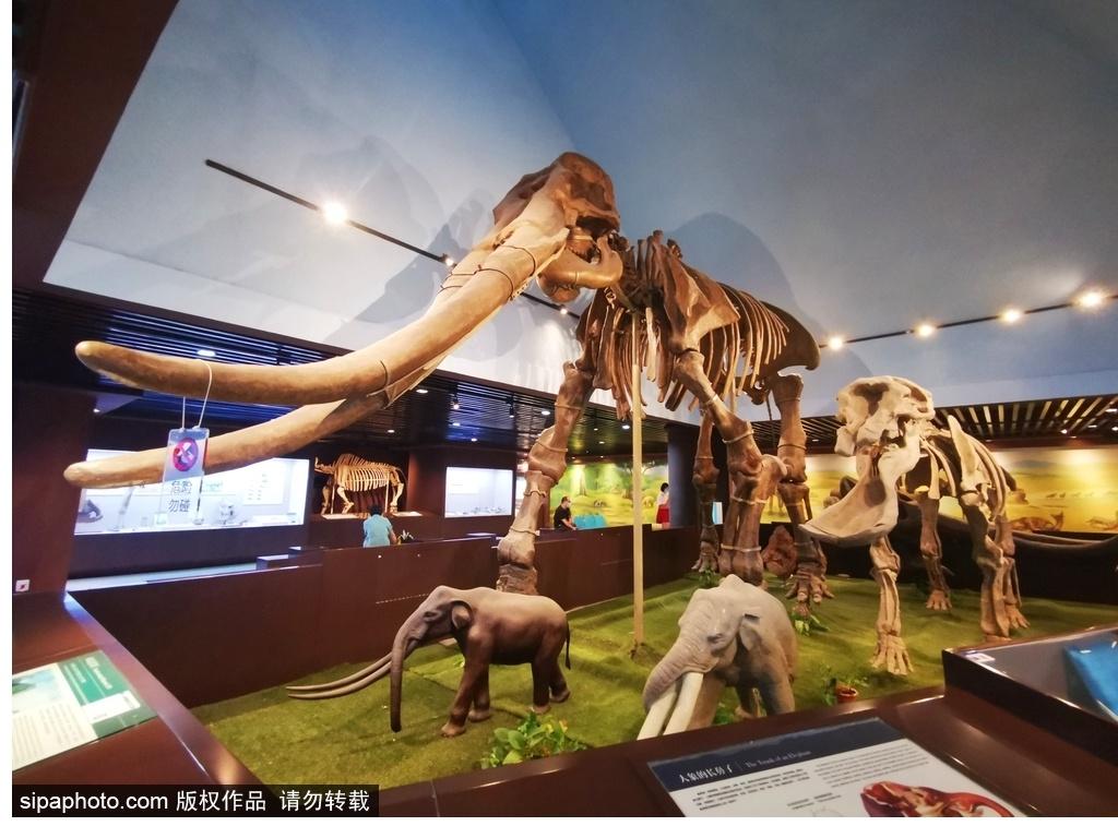 北京必去的十大博物館——探尋千年文化的精華之旅，北京必游十大博物館，千年文化精華之旅探尋記
