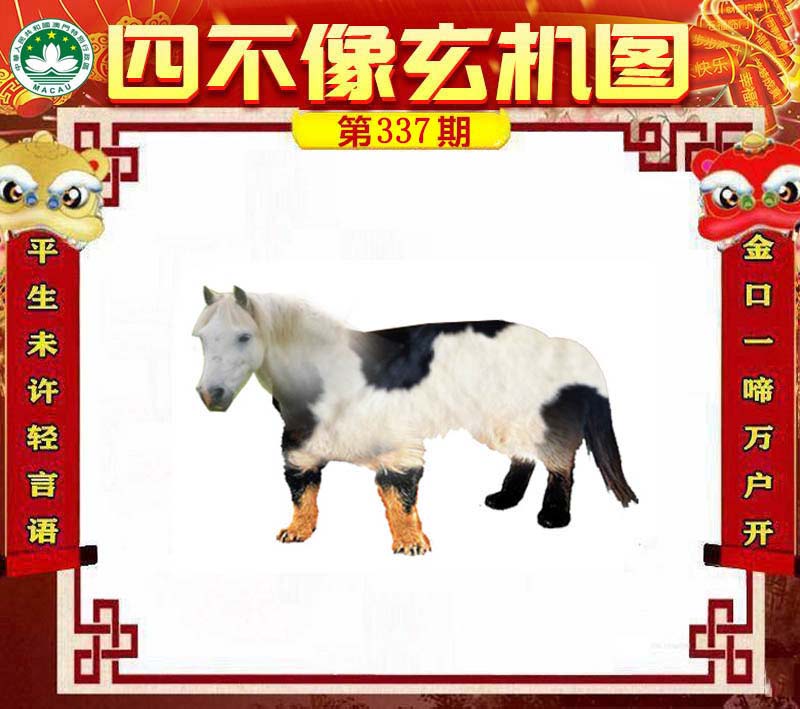 王中王四不像肖一肖中特，探索神秘現(xiàn)象背后的真相，神秘現(xiàn)象背后的真相探索，王中王四不像肖一肖中特揭秘