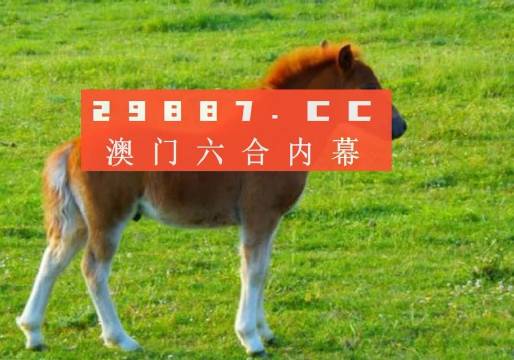 澳門答家婆一肖一馬一中一特，揭秘背后的秘密與獨特文化魅力，澳門文化魅力深度解析，答家婆一肖一馬一中一特的獨特傳統(tǒng)與秘密