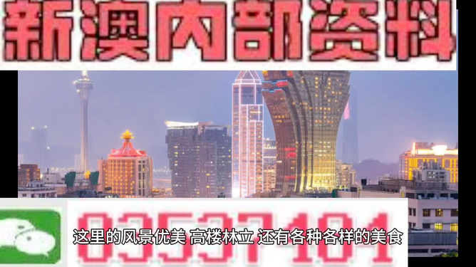 澳門精準(zhǔn)的資料大全，探索與發(fā)現(xiàn)，澳門精準(zhǔn)資料大全，探索未知的寶藏