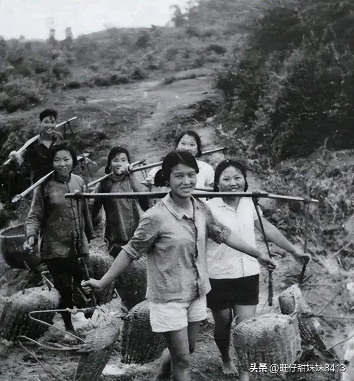 關(guān)于49圖庫(kù)圖片資料的專業(yè)解析與探索，49圖庫(kù)圖片資料深度解析與探索