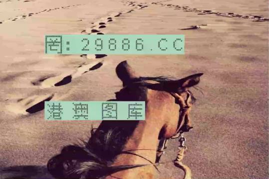 香港特馬資料王中王24期，深度解析與探索，香港特馬資料王中王深度解析與探索，第24期探索之旅