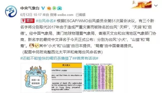 新澳門(mén)必中三肖三碼三期必開(kāi)劉伯，揭秘彩票背后的秘密與策略，揭秘彩票背后的秘密與策略，劉伯的新澳門(mén)三期必開(kāi)三肖三碼預(yù)測(cè)技巧