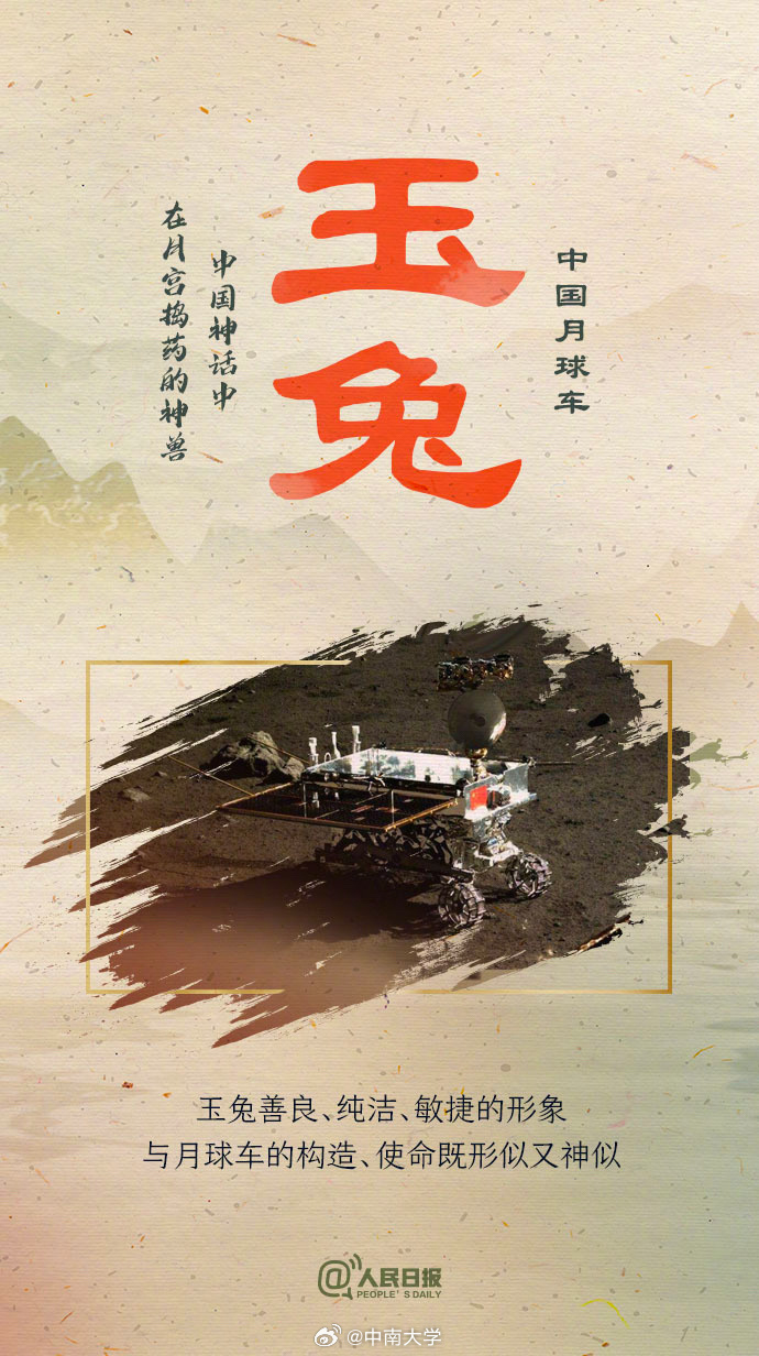 揭秘王中王平特一肖免會(huì)公開(kāi)的奧秘，王中王平特一肖免公開(kāi)揭秘奧秘