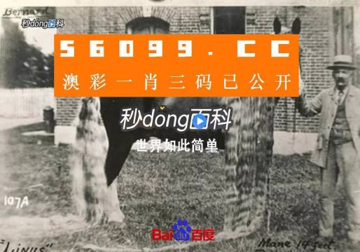 澳門王中王心水王中王，探索與解析，澳門王中王心水奧秘，深度探索與解析
