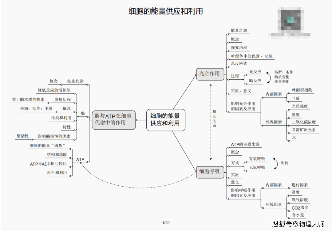 揭秘劉伯溫四肖三期內(nèi)必出一，神秘預(yù)言背后的真相，劉伯溫四肖三期預(yù)言真相揭秘，神秘預(yù)言背后的必然與偶然