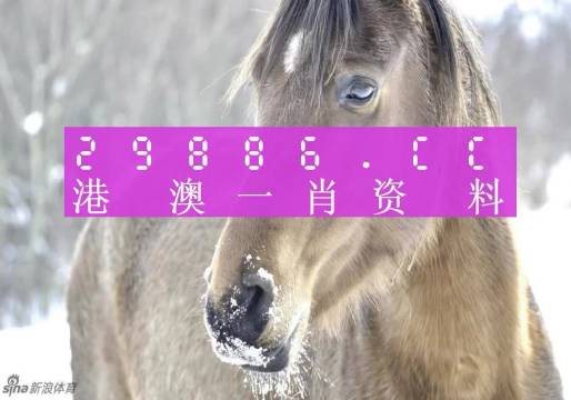 澳門一肖一碼背后的故事，一個(gè)關(guān)于精準(zhǔn)預(yù)測(cè)與傳奇的揭秘，澳門一肖一碼傳奇背后的精準(zhǔn)預(yù)測(cè)與揭秘之旅