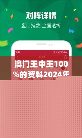 王中王網(wǎng)站一肖，探索與SEO優(yōu)化策略，王中王網(wǎng)站一肖，深度探索與SEO優(yōu)化策略實踐