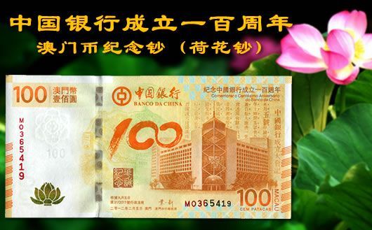 新澳門掛牌正版掛牌完整掛牌，探索與解析，澳門正版掛牌詳解，探索完整流程與解析