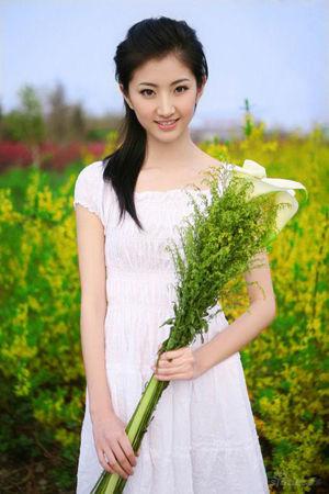 新澳門生肖走勢圖精準(zhǔn)版，解讀與SEO策略，新澳門生肖走勢圖精準(zhǔn)解讀與SEO策略揭秘
