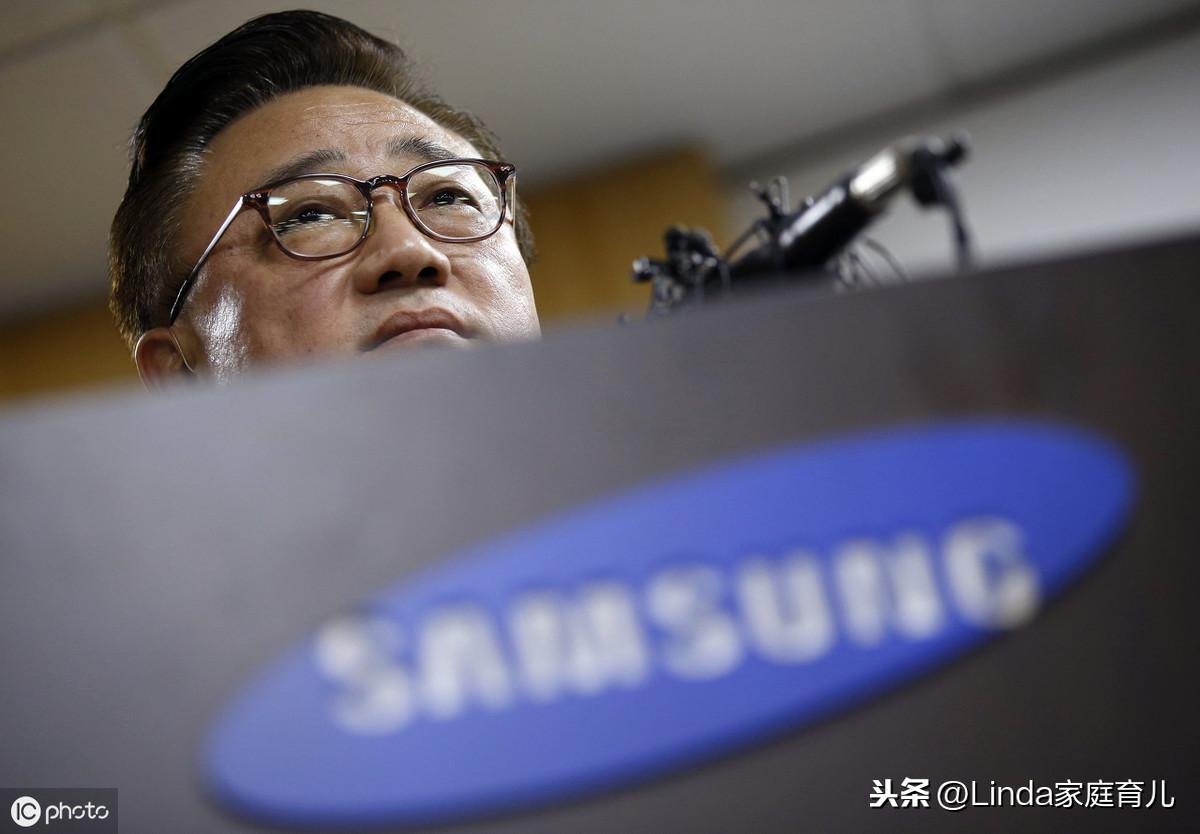 王中王86期指一生肖，深度解析與預測，王中王86期生肖深度解析與預測，揭秘生肖運勢走向