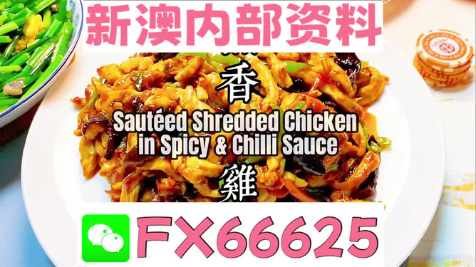 新奧天天精準(zhǔn)資料大全，全方位解讀與應(yīng)用指南，新奧天天精準(zhǔn)資料大全，全方位解讀與應(yīng)用指南手冊