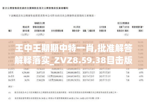王中王一肖期期中，揭秘背后的秘密與策略，揭秘王中王一肖期期中的秘密策略與成功之道
